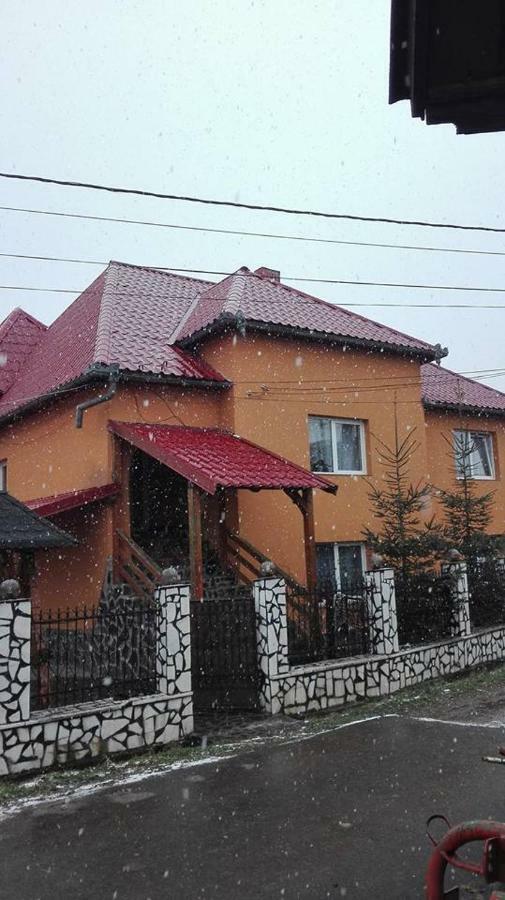 Pensiunea Brezu Sighetu Marmaţiei Exterior foto